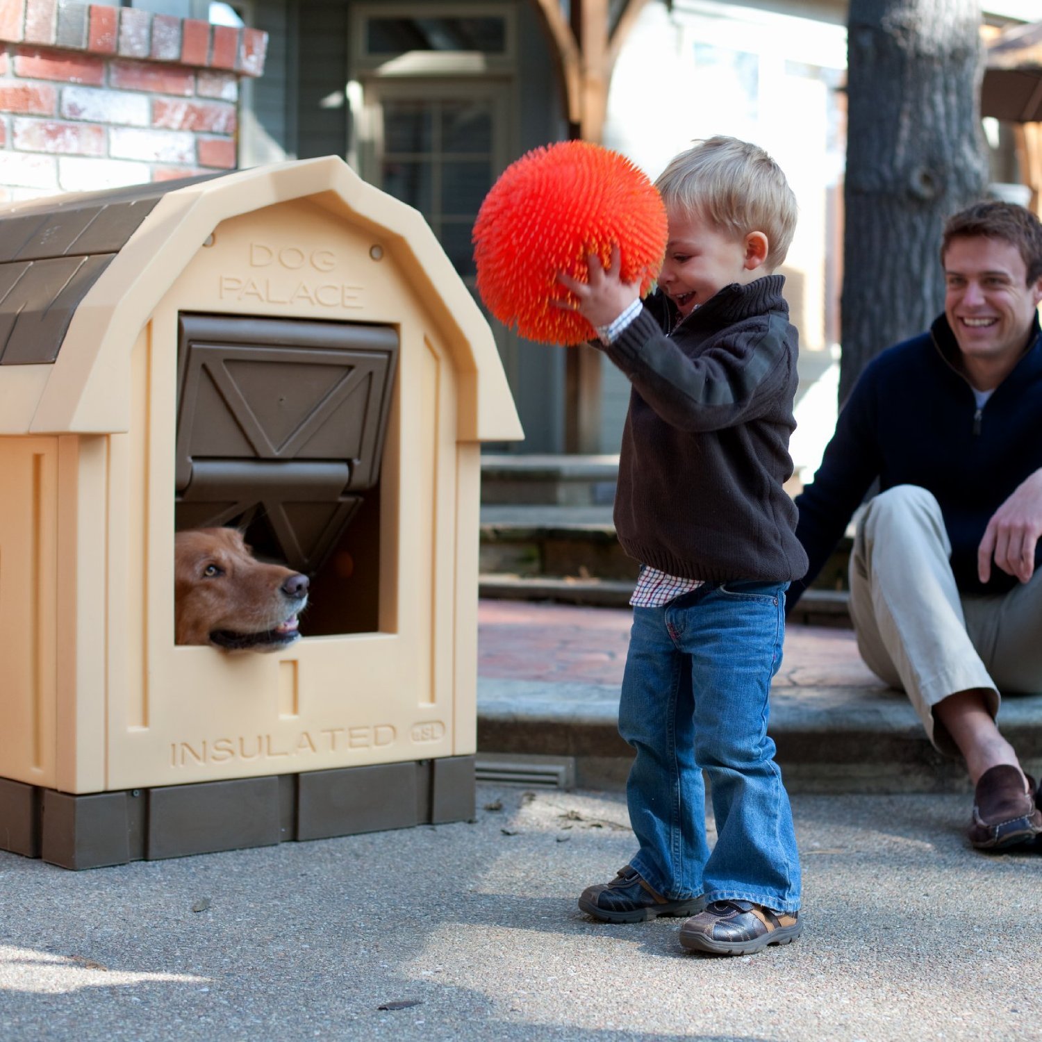 asl insulated dog house